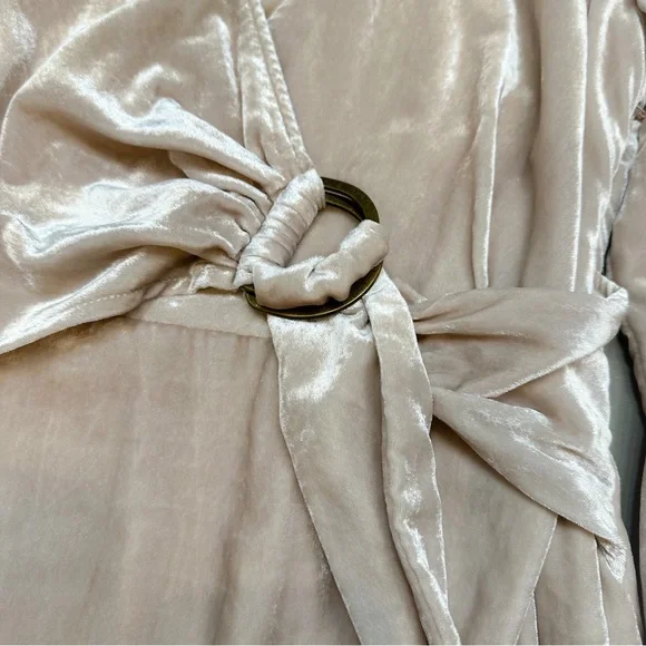 Anthropologie MAEVE crushed velvet champagne dress, 8. - Picture 6 of 8